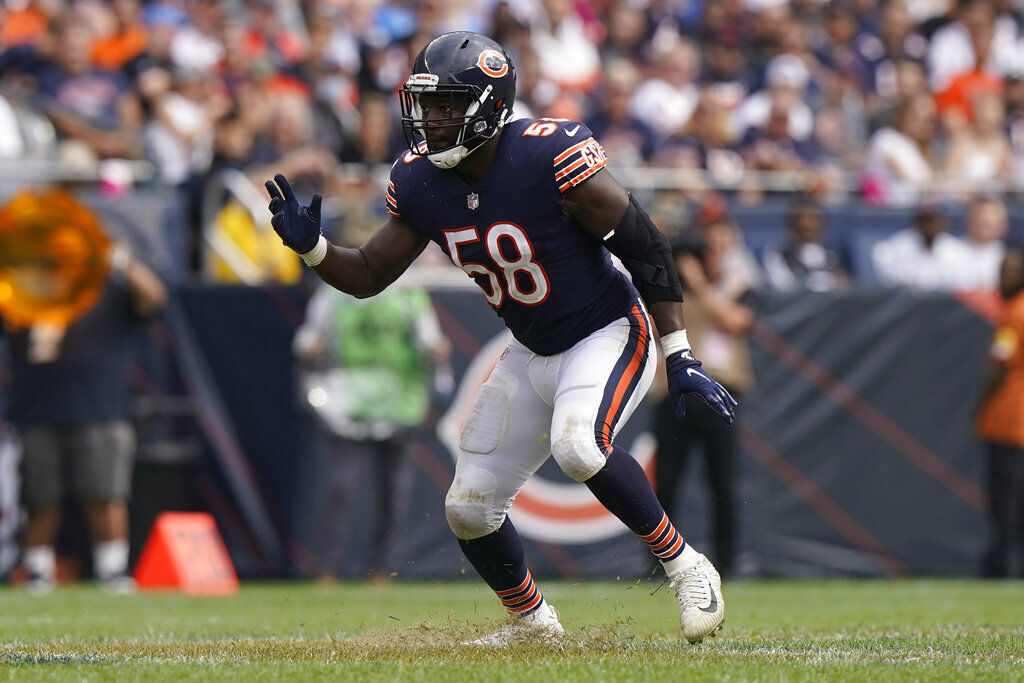 Lions Bears Football